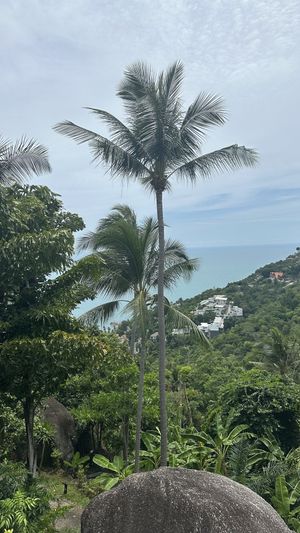 The view  at Kapuhala Koh Samui in Koh Samui