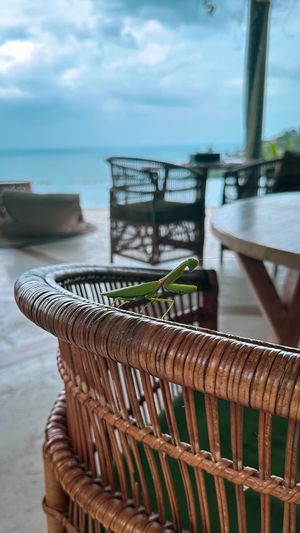 Cute creatures everywhere you lookk  at Kapuhala Koh Samui in Koh Samui