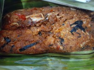 Otah at Botanict 豐之素 in West Singapore