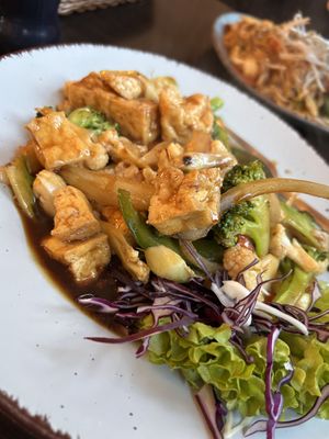   at Kop Chai in Mannheim