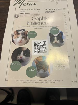   at Kattencafé Sophie in Leiden
