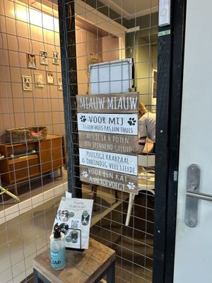   at Kattencafé Sophie in Leiden