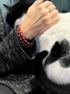   at Kattencafé Sophie in Leiden