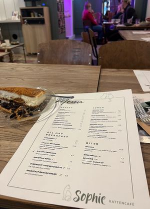   at Kattencafé Sophie in Leiden