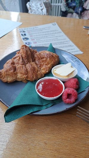  at Kattencafé Sophie in Leiden