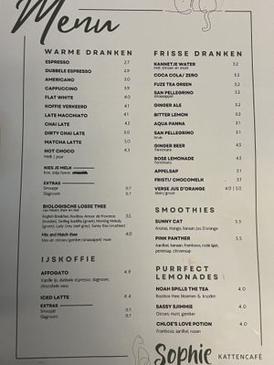   at Kattencafé Sophie in Leiden