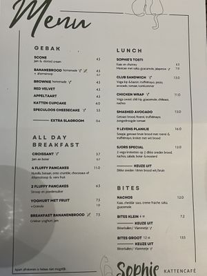   at Kattencafé Sophie in Leiden