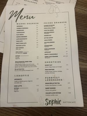   at Kattencafé Sophie in Leiden