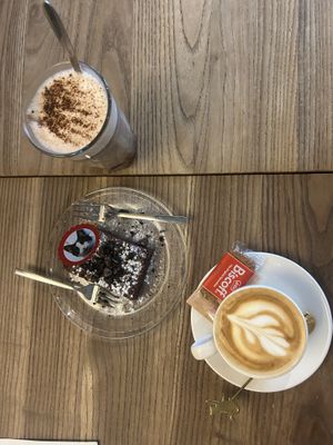   at Kattencafé Sophie in Leiden