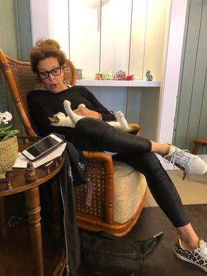 Cuddle cats from Crete..  at Kattencafé Sophie in Leiden