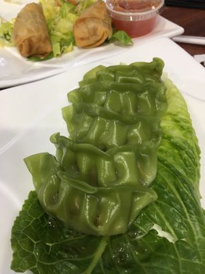Veggie dumplings  at Zen Vegetarian House in Brooklyn