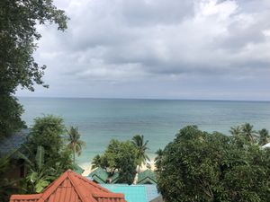   at What's Cup! in Koh Phangan