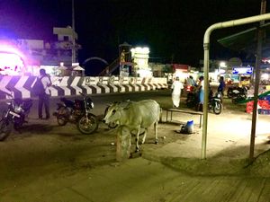 In front of Vaigai  at Vaigai in Koot Road
