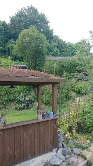 garden at Mori no Kaze in Koriyama