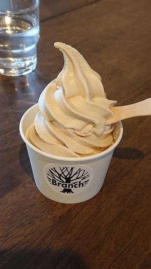 vegan icecream at Mori no Kaze in Koriyama