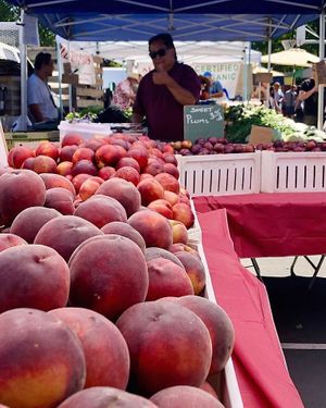 . at Farmer's Market - Sunday in Palo Alto