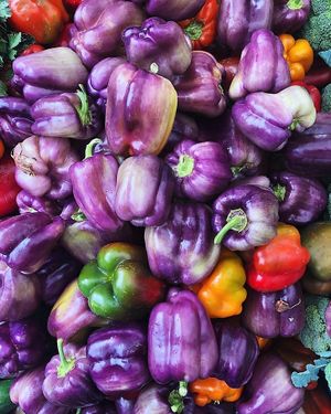 . at Farmer's Market - Sunday in Palo Alto