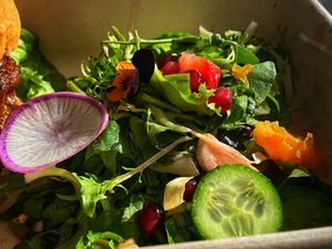 Side salad at Truth & Tonic in Las Vegas