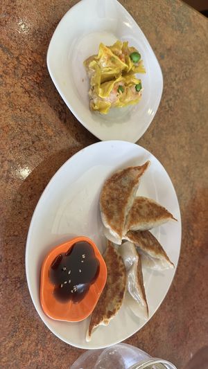 Pot stickers with steamed dumplings   at Loma House Vegetarian Express in Edmonton