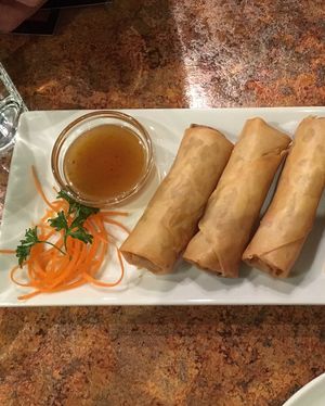 Spring rolls at Loma House Vegetarian Express in Edmonton