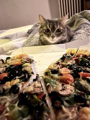   at Domino's Pizza - Carouge in Geneva