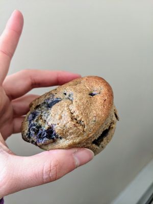 Blueberry muffin at Flourish Cafe on Broadway in Lancaster