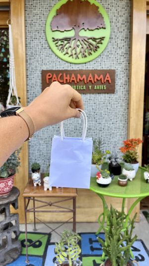happy customer   at Pachamama Macrobiótica y Artes in San Jose