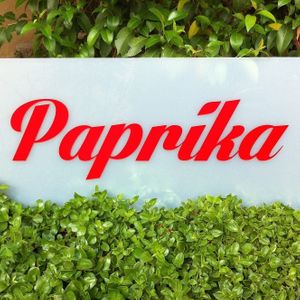 WE HAVE A MENU 100 % VEGAN  at Paprika in San Miguel De Allende