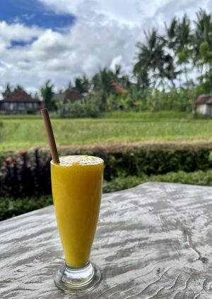 mango juice - 30rs  at Vegan Healing Garden in Ubud