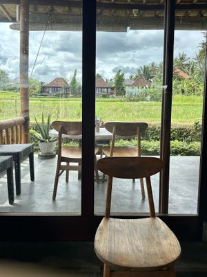 view from inside   at Vegan Healing Garden in Ubud