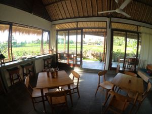 view from inside.😄 at Vegan Healing Garden in Ubud