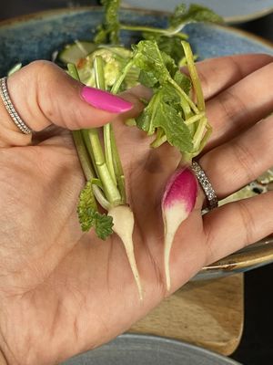 Adorably cute!!  at Les Filles Cafè in Barcelona