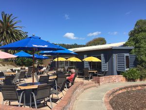 Beachside terrace  at Beach Cafe and Bar in Nelson