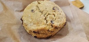  at Breads On Oak - Carondelet St in New Orleans