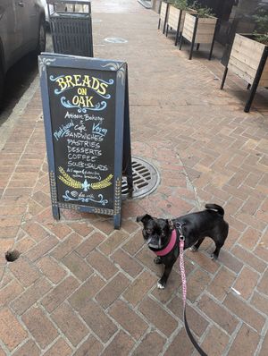 Outside at Breads On Oak - Carondelet St in New Orleans