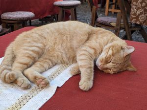  at Yasmina's Itzalanyasayan in San Francisco