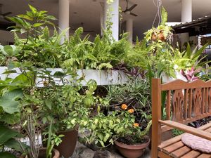   at Yasmina's Itzalanyasayan in San Francisco