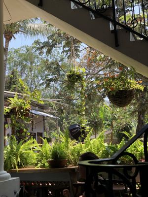   at Yasmina's Itzalanyasayan in San Francisco