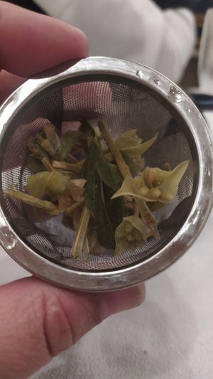 The mountain tea at Vakhos Taverna - Βάκχος Ταβέρνα in Delphi