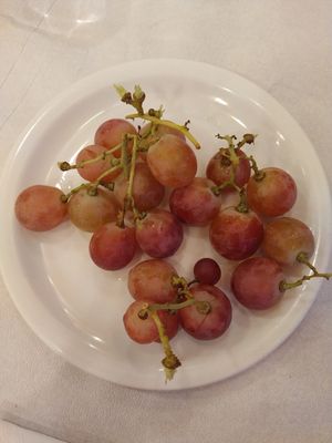  at Vakhos Taverna - Βάκχος Ταβέρνα in Delphi