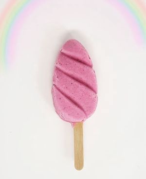 Mini paleta crudivegana  at Verde Mango in Bogota