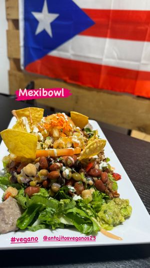 Mexibowl #Veganuary at Antojitos Veganos in Bayamon