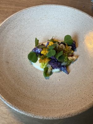   at Bellies in Stavanger