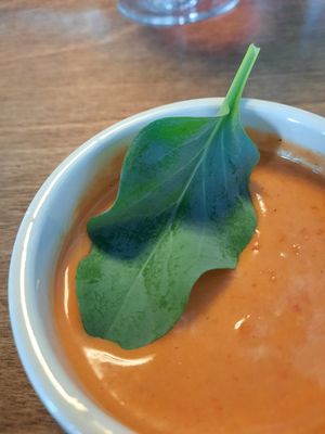 Gazpacho with oysterleaf. at Bellies in Stavanger