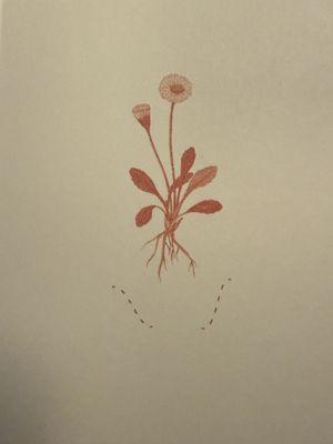   at Bellies in Stavanger