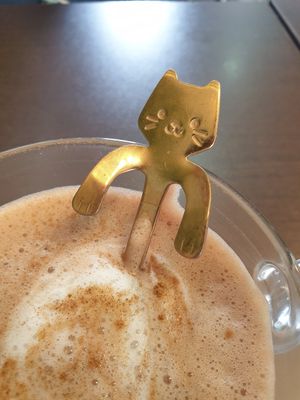 Cutest cat spoon at Moko Veggie Café - Alvalade in Lisbon