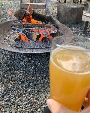 Delicious fireside IPA at Woodstock Brewing in Phoenicia