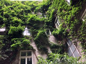 courtyard at Makro 1 in Vienna
