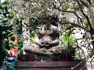 buddha at Makro 1 in Vienna