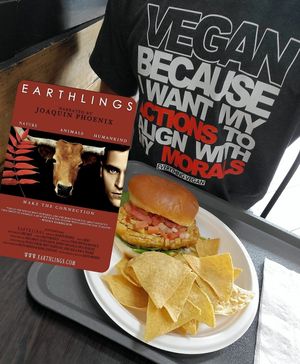 Vegan Burger (vegan chick'n breast) at Carotenos in Ponce